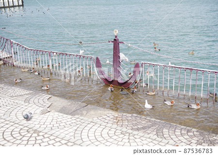 琵琶湖大津港水鳥遊樂 87536783