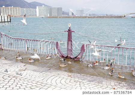琵琶湖大津港水鳥遊樂 琵琶湖大津港水鳥遊樂 87536784