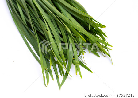 Fresh Chinese Chive leaves on white background. Fresh Chinese Chive leaves on white background. 87537213