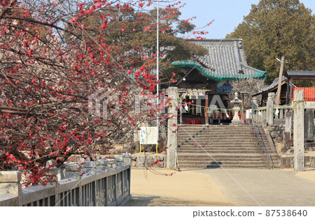 Takimiya Tenmangu Shrine in early spring Takimiya Tenmangu Shrine in early spring 87538640