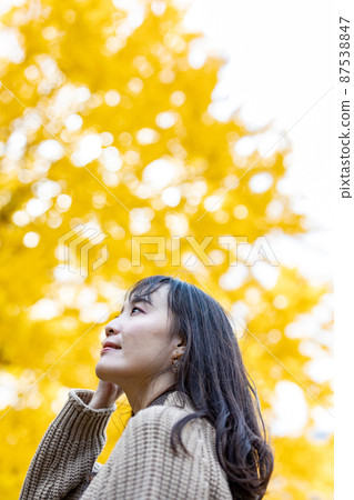 來拍銀杏的相機妹子 來拍銀杏的相機妹子 87538847