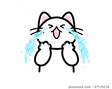 A cat that sheds tears like a waterfall and cries 87539216