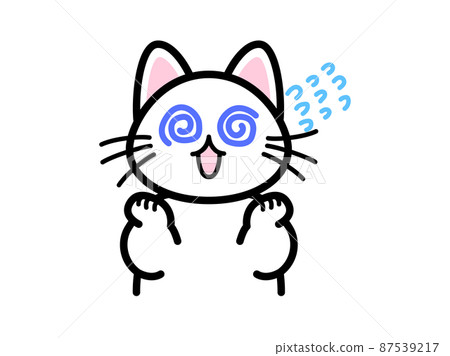 A panicking cat A panicking cat 87539217