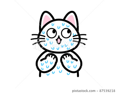 A cat that sweats like a waterfall and is impatient 87539218