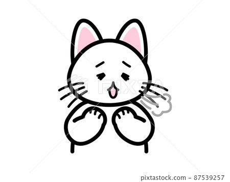 Cat sighing 87539257