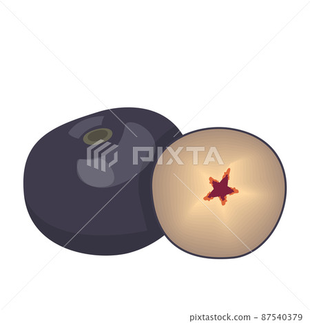 Acai berry vector isolated. Raw organic product Acai berry vector isolated. Raw organic product 87540379