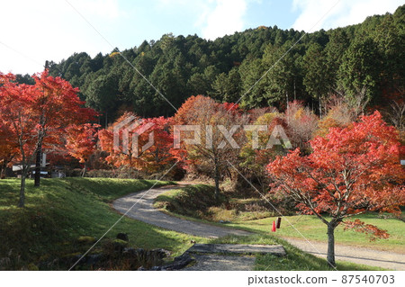 秋葉染山的意象 秋葉染山的意象 87540703