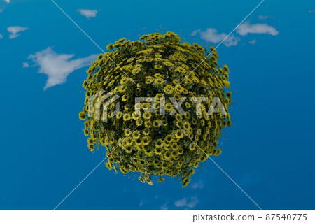 The concept of peace in europe. Earth with yellow sunflowers and a clear blue sky, colors of the Ukrainian flag. 3d render. The concept of peace in europe. Earth with yellow sunflowers and a clear blue sky, colors of the Ukrainian flag. 3d render. 87540775