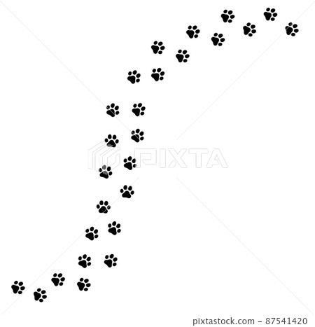 Footprints of dogs and cats clues 87541420