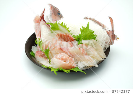 Red snapper sashimi 87542377