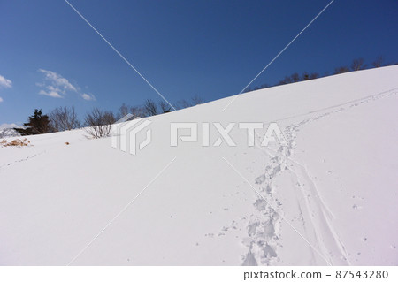 Blush mountain Blush mountain 87543280