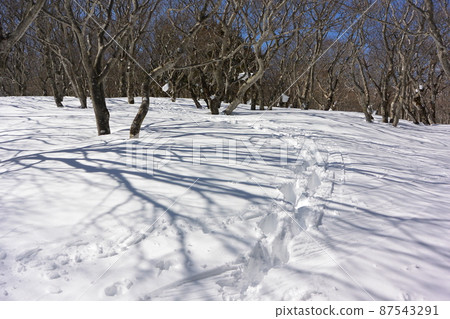 Blush mountain Blush mountain 87543291