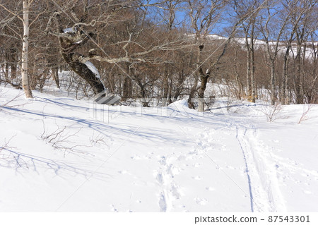 Blush mountain Blush mountain 87543301