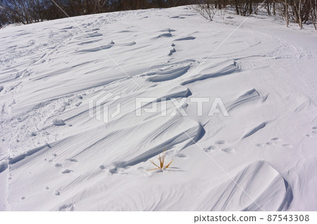 Blush mountain Blush mountain 87543308