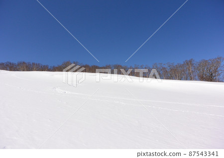 Blush mountain Blush mountain 87543341