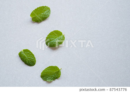 Fresh mint leaves on gray background with copy space. Top view 87543776