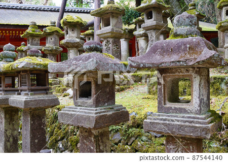 奈良春日大社的石燈籠 87544140