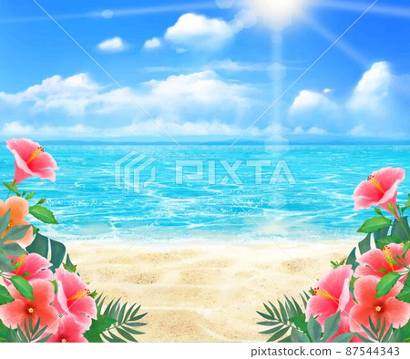 Under the blue sky where the sun shines, the hibiscus blooms on the beach. 87544343