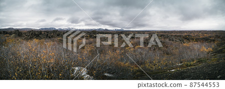 Panoramic view of large lava field in Iceland 87544553