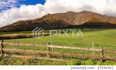 [岡山縣] Hiruzen Ranch Hiruzen Jersey Land 87544561