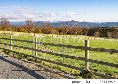 [Okayama Prefecture] Hiruzen Ranch Hiruzen Jersey Land 87544602