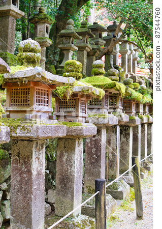 奈良春日大社的石燈籠 奈良春日大社的石燈籠 87544760