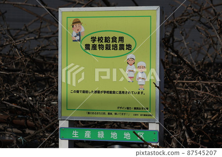 日野市的學校午餐農田 87545207