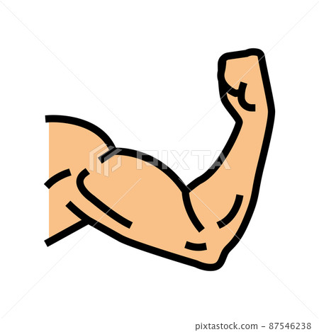 arm muscle color icon vector illustration 87546238