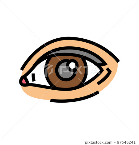 eye face color icon vector illustration 87546241