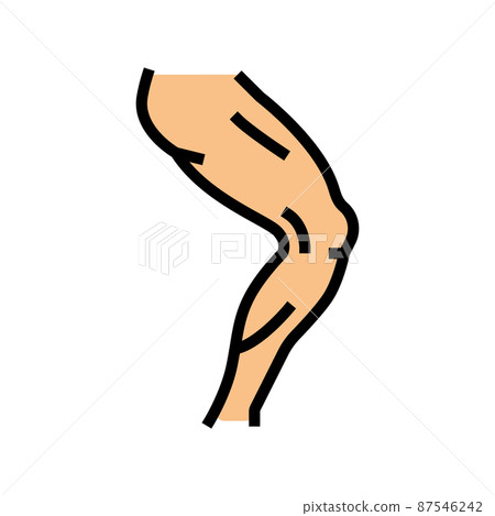 leg human body part color icon vector illustration 87546242