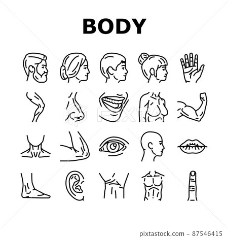 Body And Facial People Parts Icons Set Vector Body And Facial People Parts Icons Set Vector 87546415