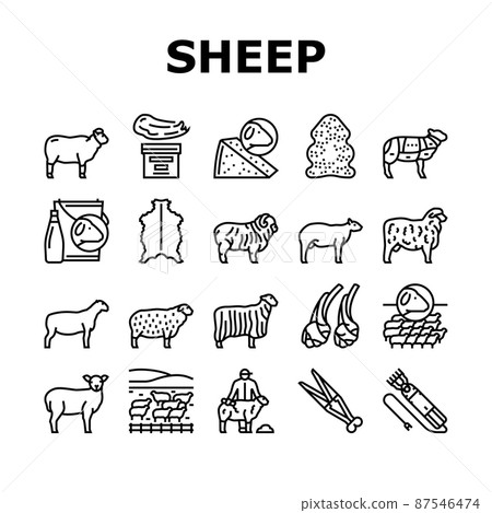 Sheep Breeding Farm Business Icons Set Vector 87546474