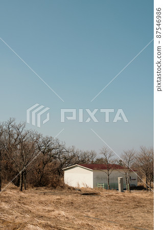 Countryside house and winter trees in Jeju island, Korea 87546986