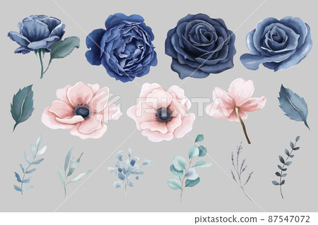 Roses and Anemones Elements Roses and Anemones Elements 87547072