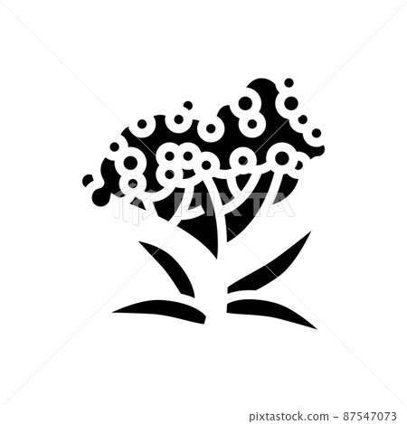 elderberry tree branch glyph icon vector illustration elderberry tree branch glyph icon vector illustration 87547073