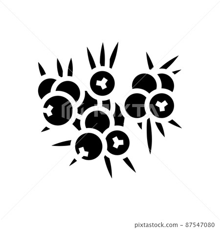 juniper berry glyph icon vector illustration juniper berry glyph icon vector illustration 87547080