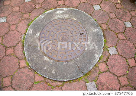 靜岡市花蜀葵設計沙井靜岡縣 87547706