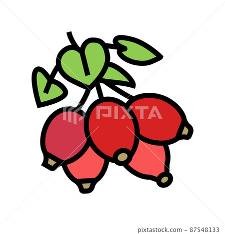 dogrose berry color icon vector illustration 87548133