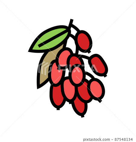 goji berry and leaves color icon vector illustration 87548134