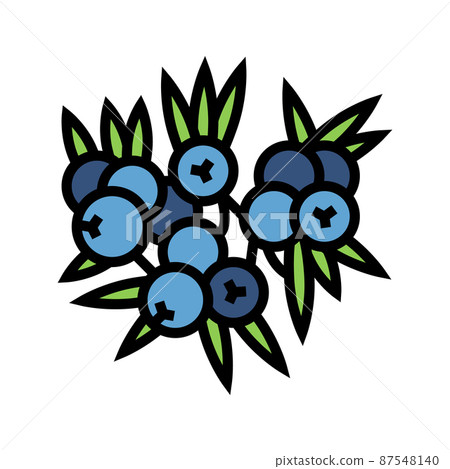 juniper berry color icon vector illustration 87548140