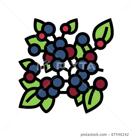 huckleberry plant branch color icon vector illustration huckleberry plant branch color icon vector illustration 87548142