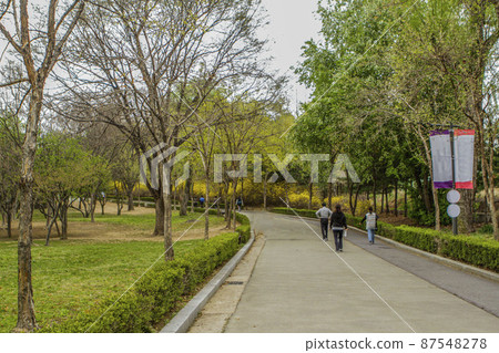 People walking on the Children's Grand Park promenade People walking on the Children's Grand Park promenade 87548278