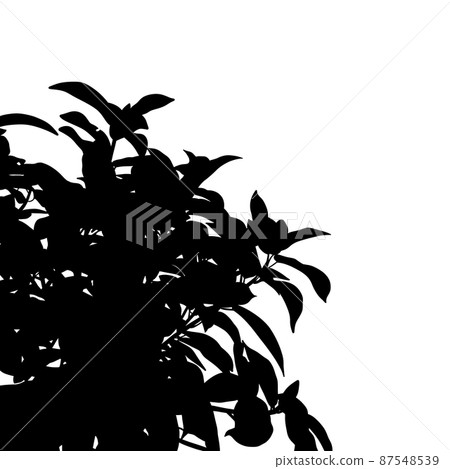 樹/植物枝葉剪影光柵材料 樹/植物枝葉剪影光柵材料 87548539