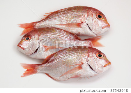 Sea bream 87548948