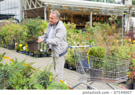Middle aged man shopping in garden center Middle aged man shopping in garden center 87549007