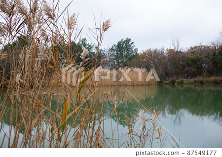 view of a mountain lake surrounded by bushes and trees in autumn 87549177