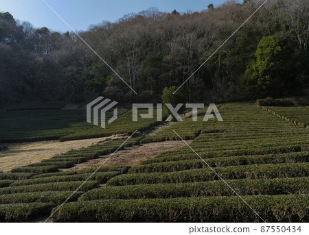 Sanogawa, Fujino Town, Sagamihara City, Kanagawa Prefecture 87550434