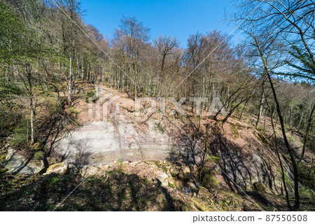 Valley of the Aesenbach creek filled with rocks and surrounded by bare spring trees around Echternach, The Grand Duchy of Luxembourg 87550508