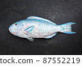 saltwater parrotfish as top view on black background 87552219