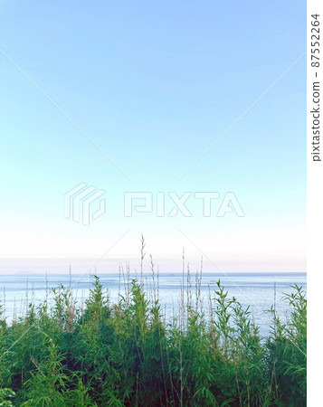 夏季天空和海洋和植被的漸變 87552264
